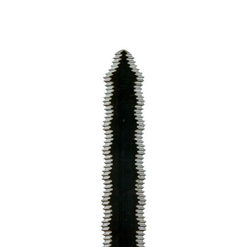 Mes Equalizer getand 100mm