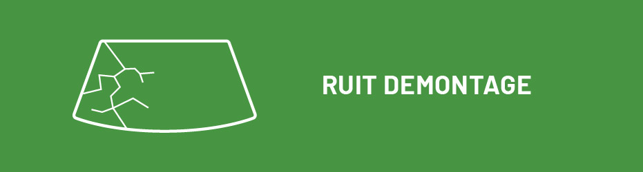 Ruit Demontage